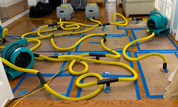Professional Structural Drying And Dehumidification technician working in Smithville, MO